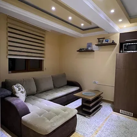 Elvir 公寓 科帕奥尼克