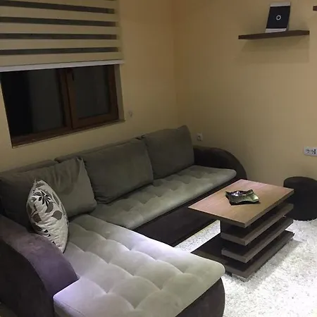 Elvir 科帕奥尼克